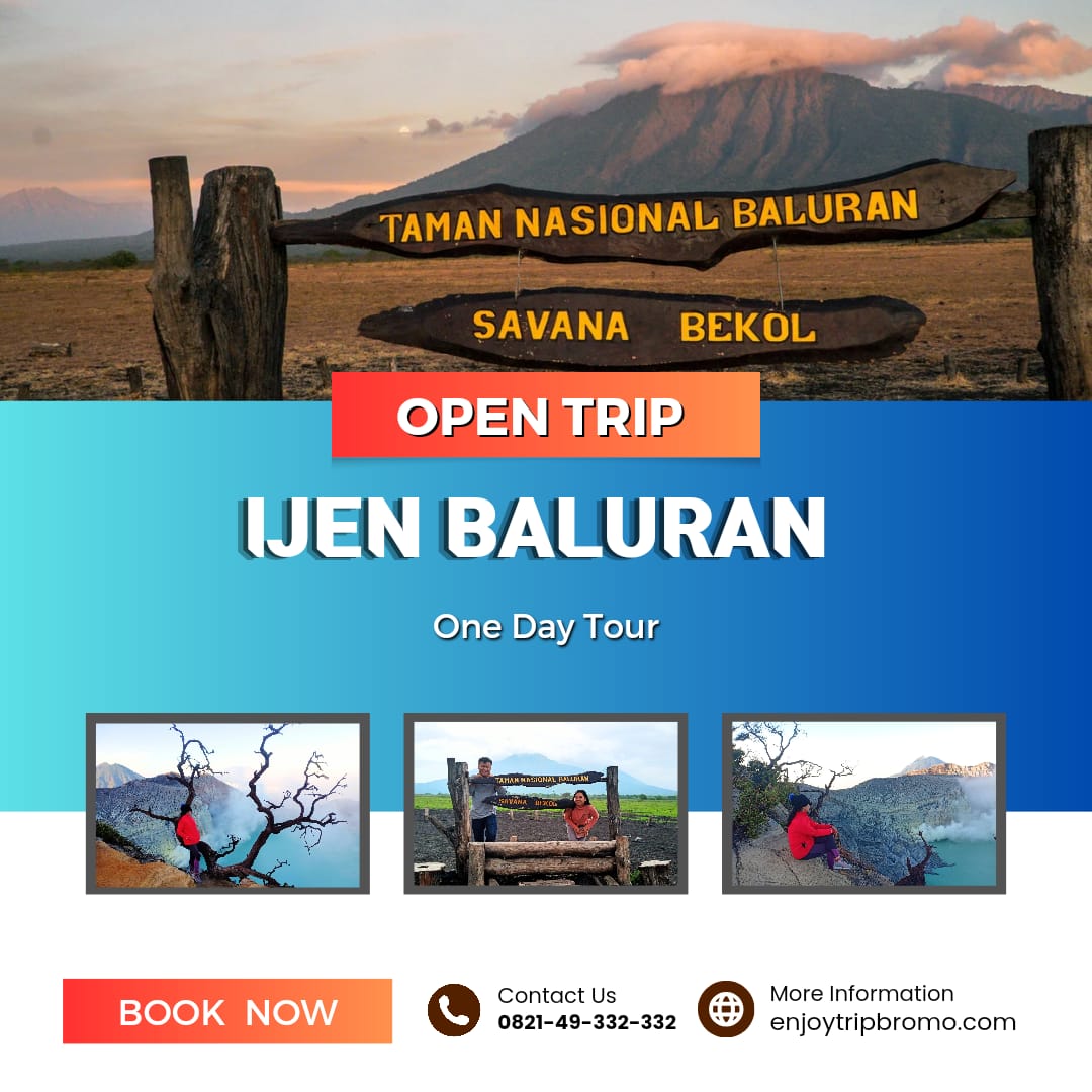 Read more about the article Open Trip Ijen Baluran